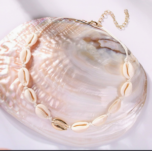 Natural Conch shell necklace with gold accent